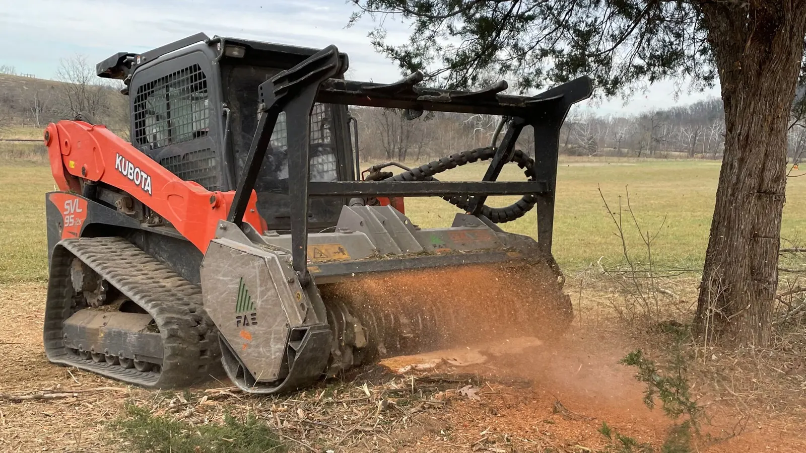 Forestry mulcher grinding brush at the base of a tree in a pasture