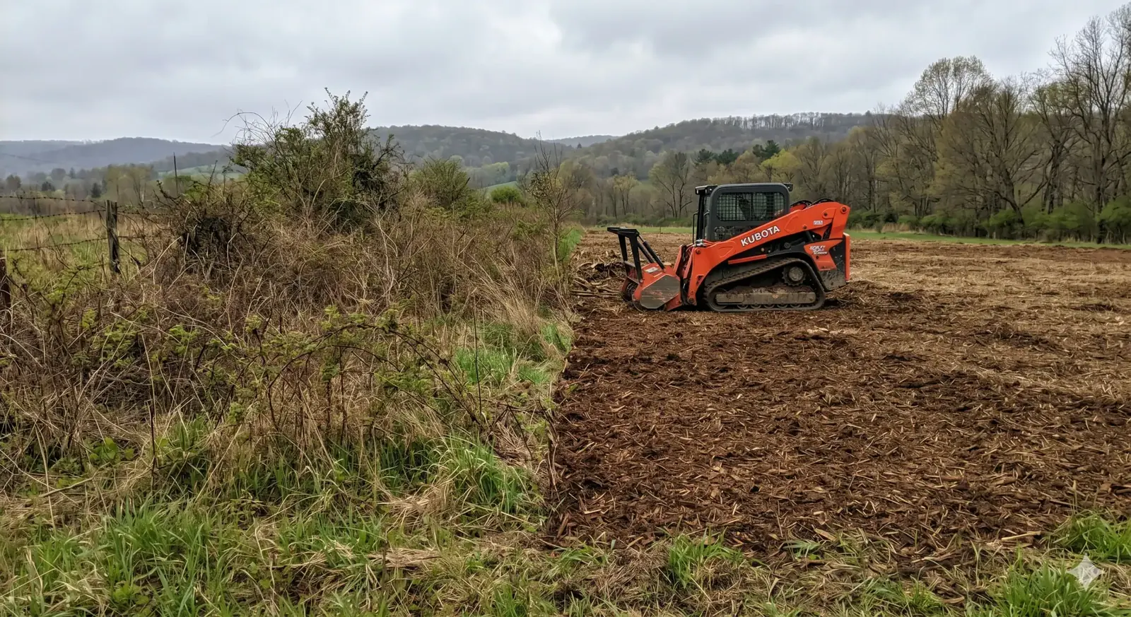 Forestry mulching an overgrown field edge with a track loader