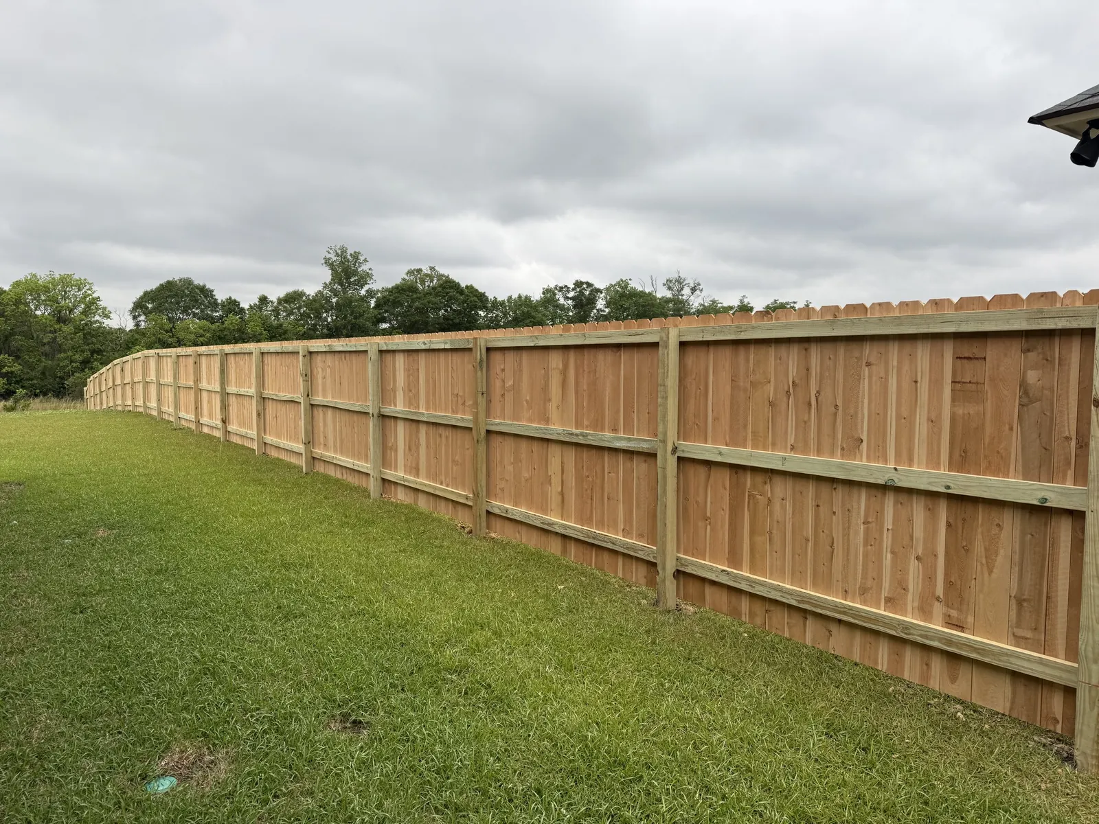 New dog-ear wood privacy fence running along a backyard lawn